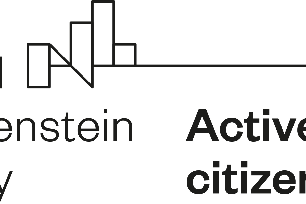 Active-citizens-fund